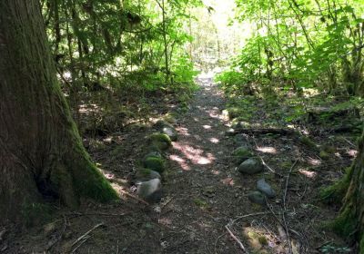 Mt. Baker Rim footpath