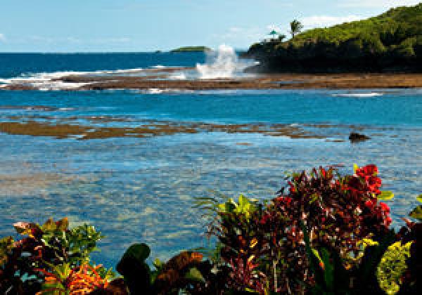 Sea Views