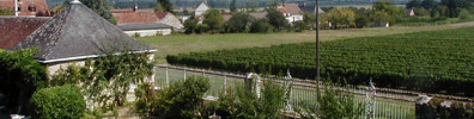 Another view of garden