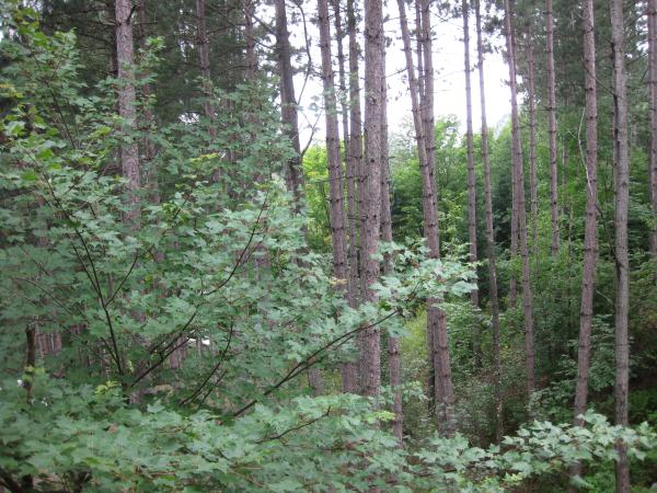 View Outside
