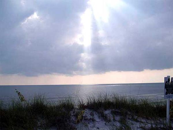 Sunlight