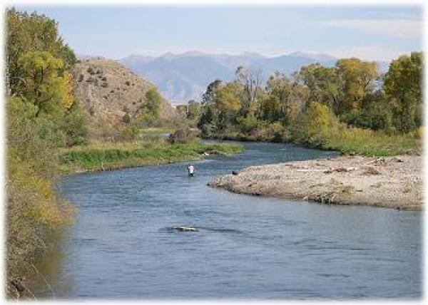 A great place to catch your dinner