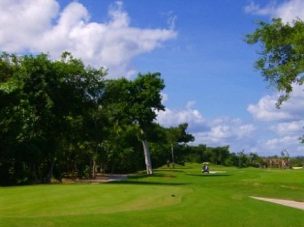 Near Golf