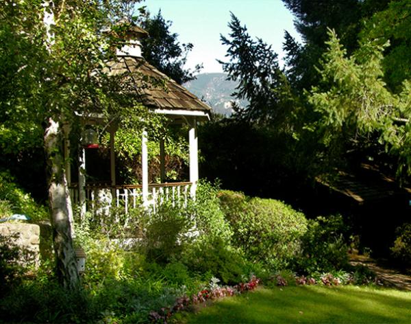 Garden & Mountain View