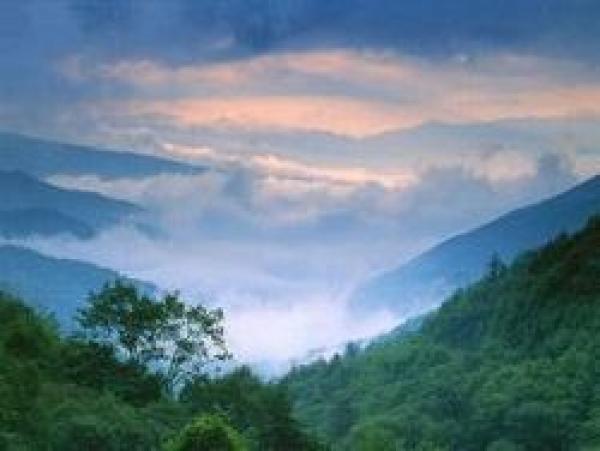 Beautiful View
