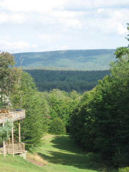 View behind cabin
