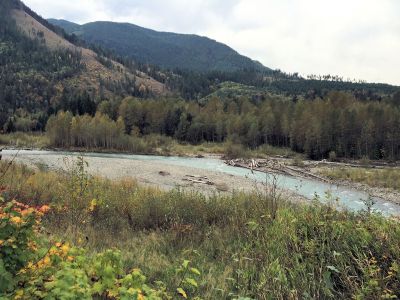 Nooksack River, View from Hwy