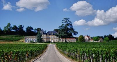 Vineyard tours