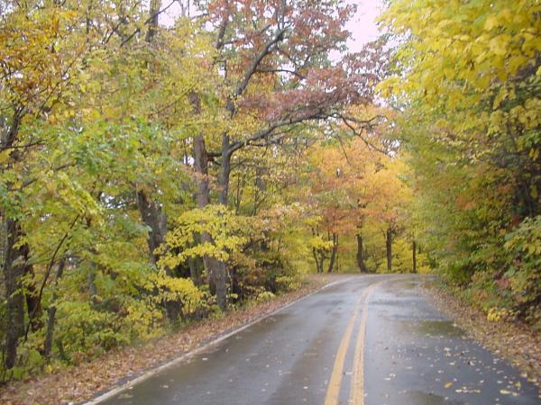 Road on the way to the Blue Ridge Parkway
