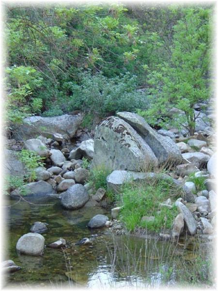 The Seasonal Creek Area is Down a 25' Path  