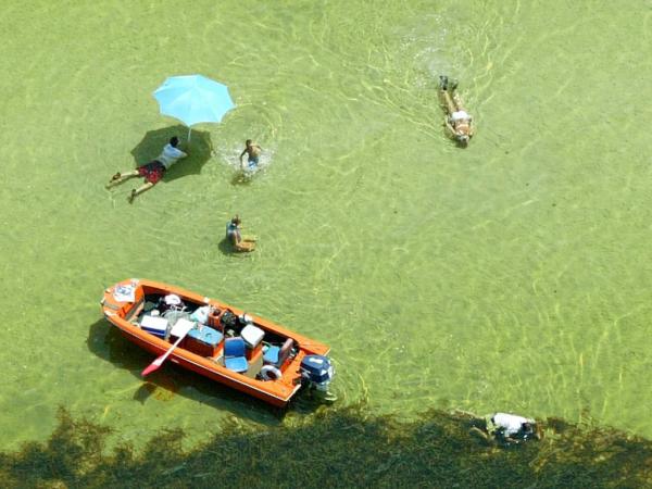 Enjoy Relaxing Snorkeling And Scalloping