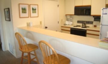 Isle of Palms, South Carolina, Vacation Rental House