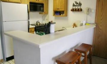 Breckenridge, Colorado, Vacation Rental Condo