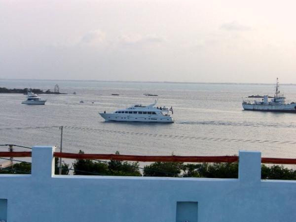 Front  View from Roof
