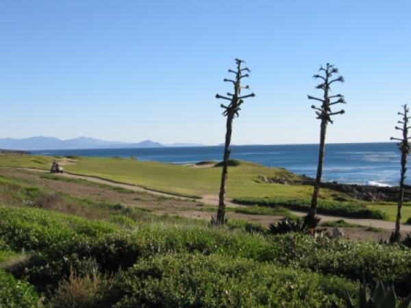 Golf Along Shoreline
