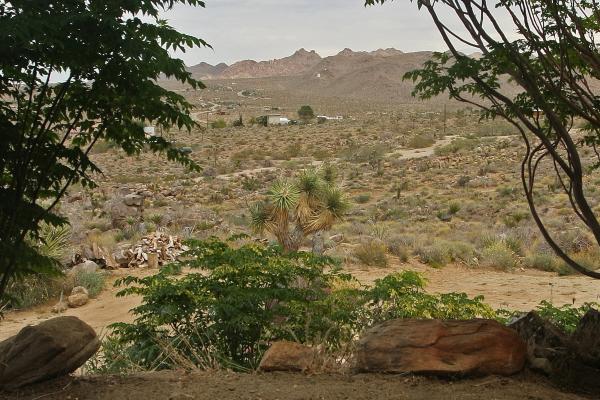 View looking in JTNP