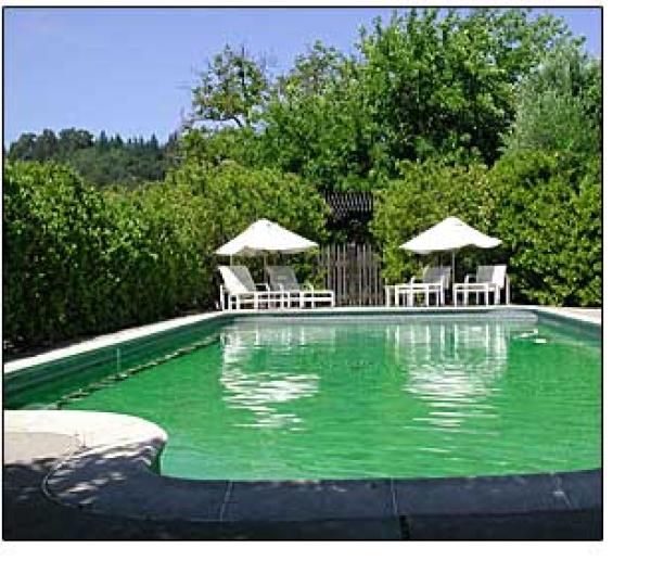 Swimming Pool and Spa