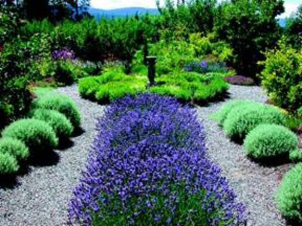 Roam the award winning gardens of the region