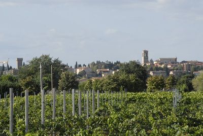 View of Torgiano from the house