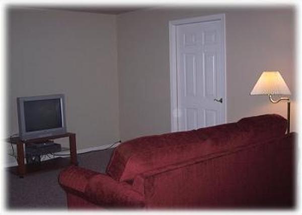 The Lower Level Den Area with Pullout Sofa & TV