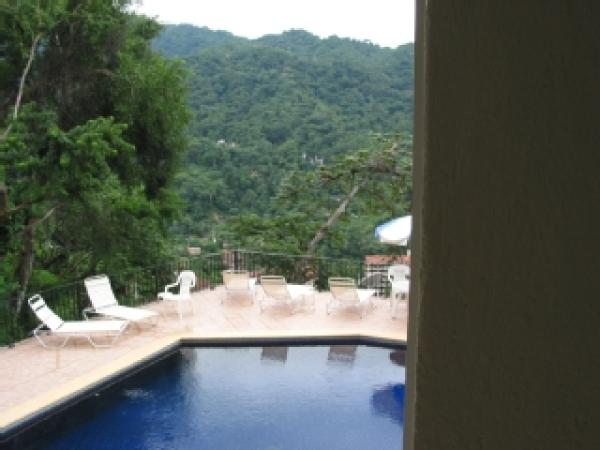 View of pool from bedroom door.