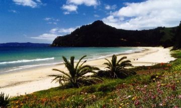 Kuaotunu, Coromandel, Vacation Rental House