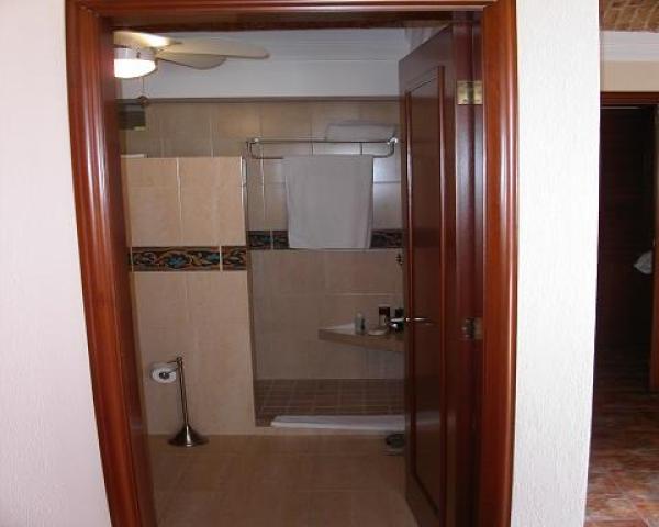 Master Bath walk in shower, no doors & spacious