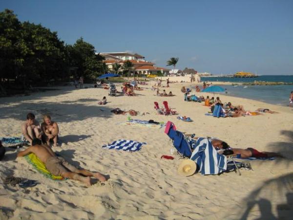 Looking North on the Beach