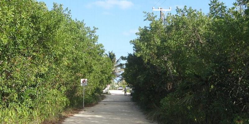 The Sandy Path Direct to the Beach