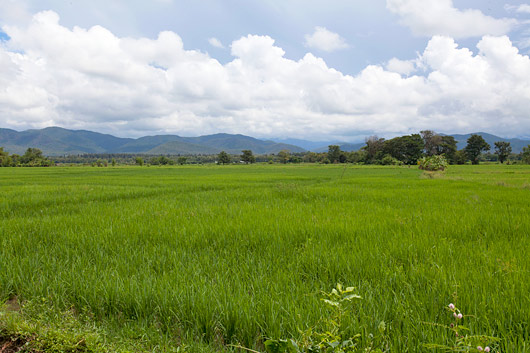 Thailand Vacation Rental Villa