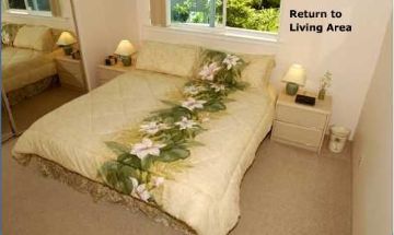 Kapaa, Hawaii, Vacation Rental Condo