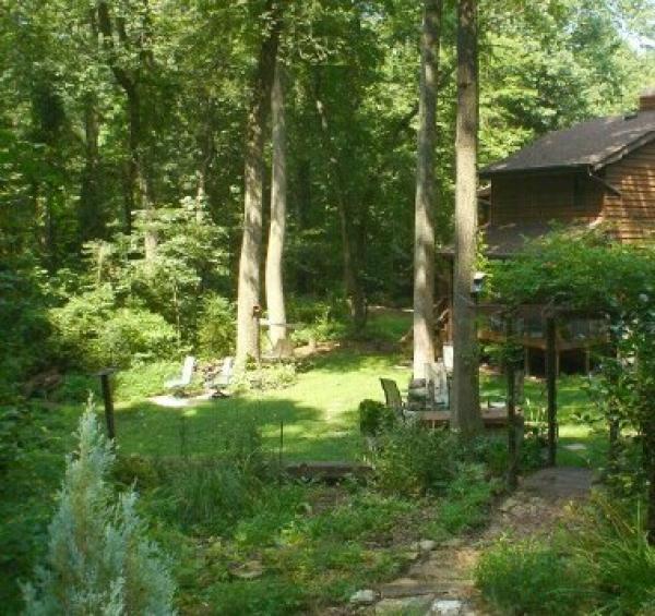 Back Yard Borders Woodlands