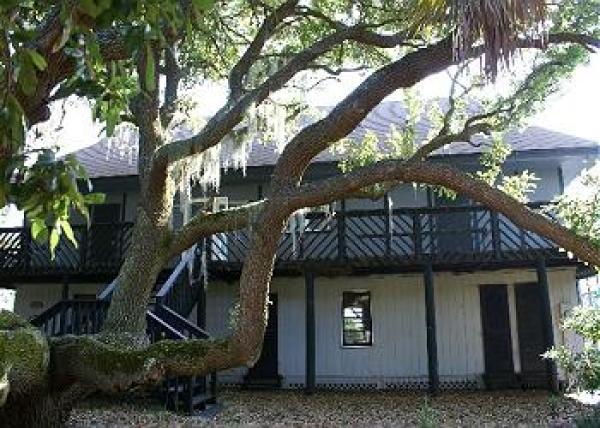  from road non-beach side; apox. 150 year oak tree