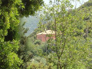 Villa Daphni