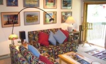 Telluride, Colorado, Vacation Rental Condo