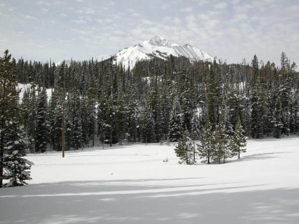 View from Yard