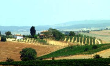 San Giovanni d'Asso, Tuscany, Vacation Rental Condo