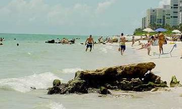 Naples, Florida, Vacation Rental Condo