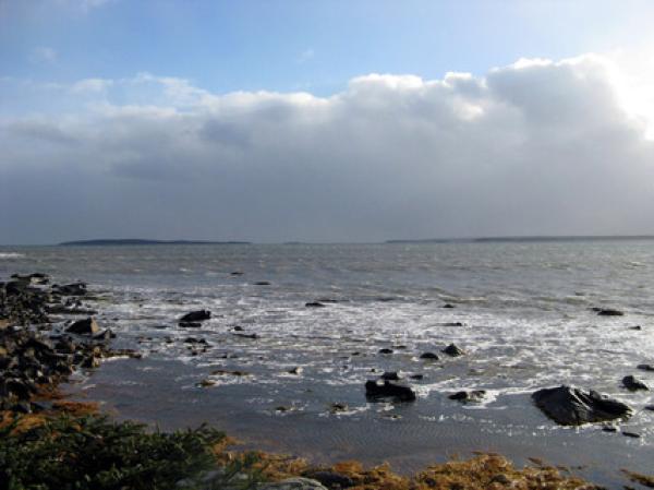 Stunning View of Carter's Beach