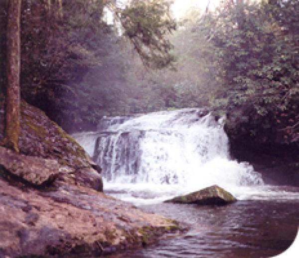 Brevard, North Carolina, Vacation Rental Cottage