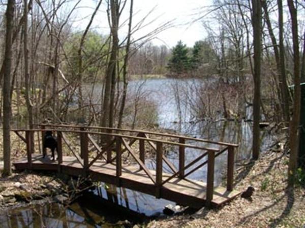 Bridge