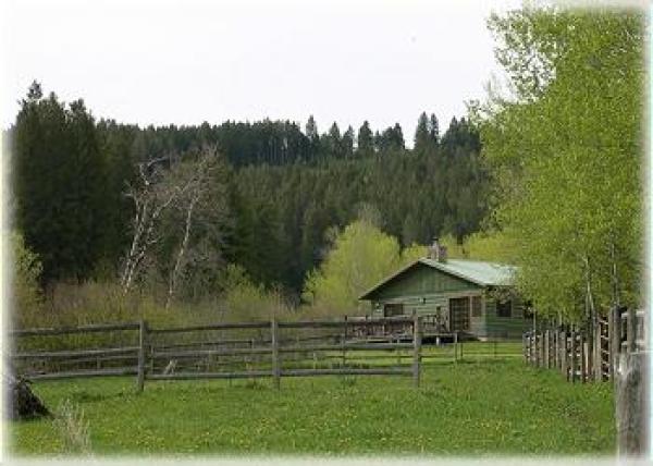 Beautiful setting on bordering National Forest