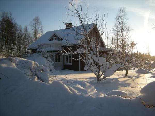 Cottage in Winter