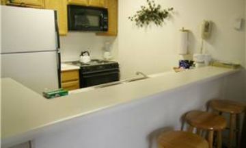 Breckenridge, Colorado, Vacation Rental Condo