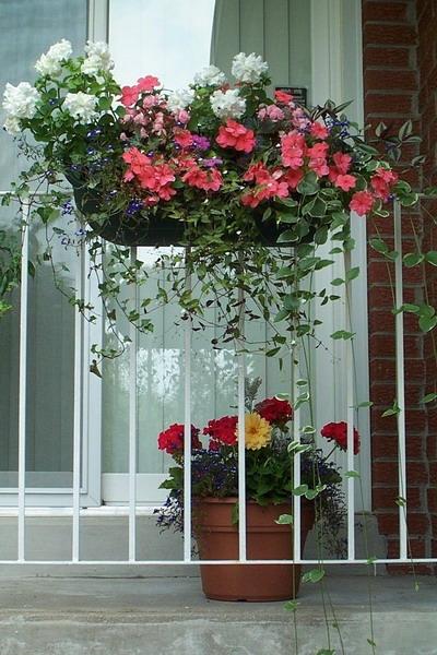 One of the many containers in the flower garden