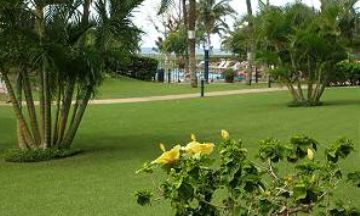 Kihei, Hawaii, Vacation Rental Condo