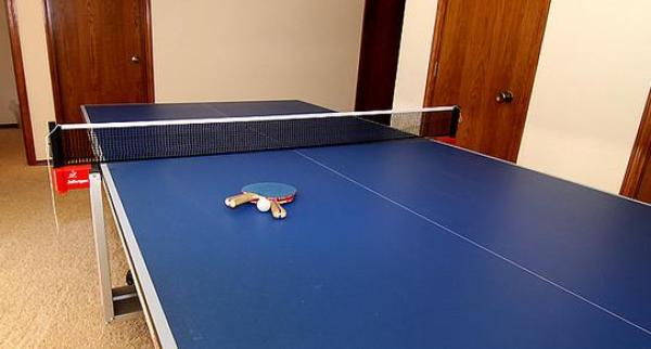 Game Room with Ping Pong Table