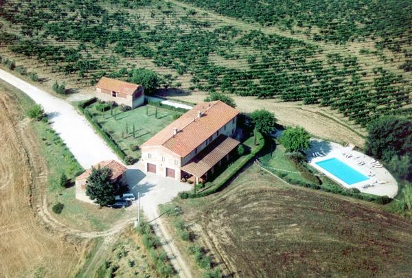 Arial View