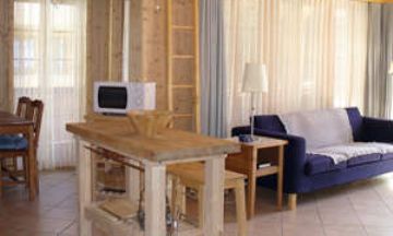 Hasliberg-Reuti, Oberhasli, Vacation Rental Condo