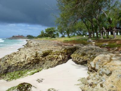Surfer's Bay Beach, Barbados